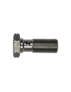 Banjo Bult M10X1,00 L: 25mm