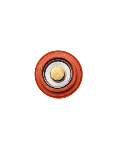 DIAPHRAGM SERVICE REPLACEMENT FP