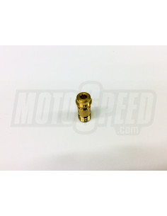 Adjustment screw 2