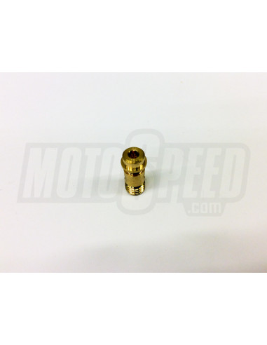Adjustment screw