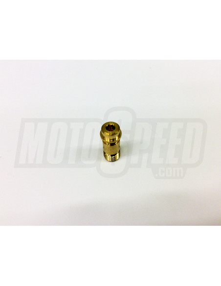 Adjustment screw