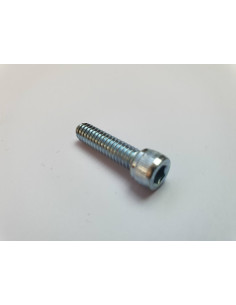 INSEXBULT 14-20 x 1 SOCKET HEAD