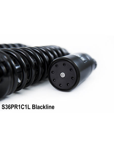 HD Sportster Black Line 296 *B*