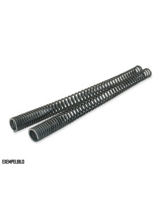 FORK SPRING LOWERING KIT DROP IN HD