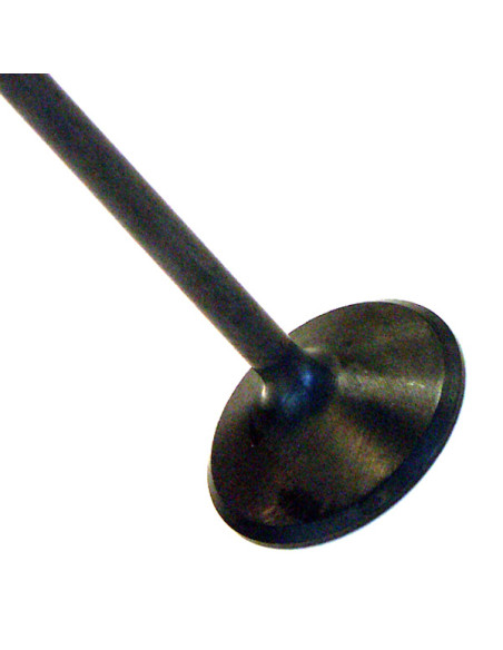 Valve Exhaust Yamaha FJ1100 - 