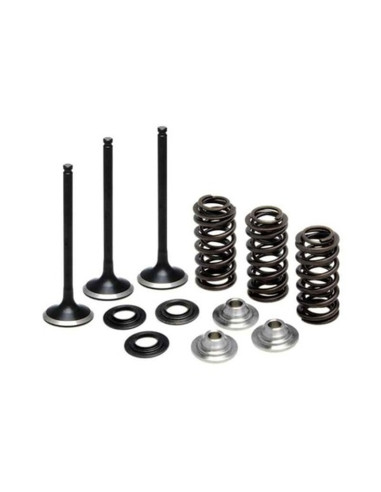 INSUGSVENTILKIT YZF250 01-13