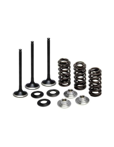 INSUGSVENTILKIT YZF250 01-13