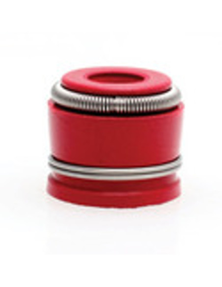 Seal Red Viton 50mm Stem x 0340