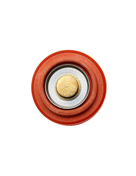 DIAPHRAGM SERVICE REPLACEMENT FP