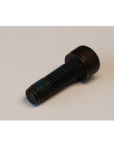 INSEXS SKRUV SVART 1/4-20x1/2 BHSCS