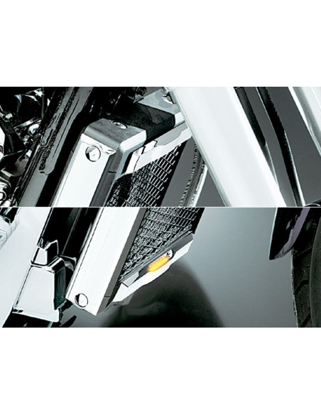 *L.E.D. RADIATOR TRIM