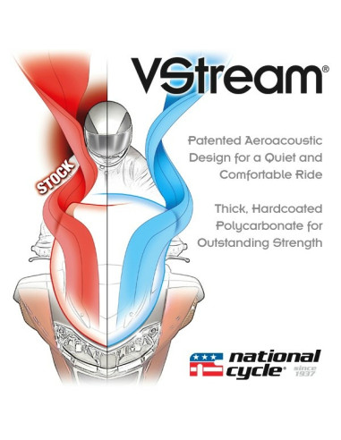 WS, V-STREAM DARK TIN FJR1300 13-16