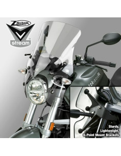 WS,VSTREEM TOUR L-TINT R1200R 11-14 2