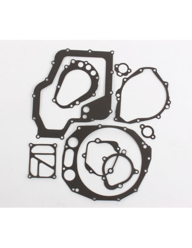 PKG CASE R1300 99-UP AFM