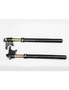 Front fork R&T Ducati Diavel 2