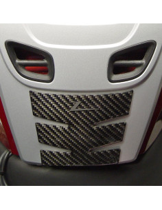 CARBON F TANK PROT R1200RT
