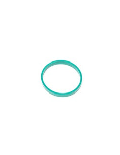 INTAKE MANIFOLD GASKET, R8, GALL