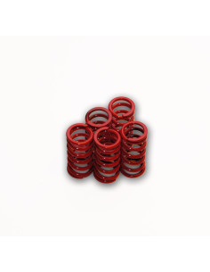 CLUTCH SPRING SET EXTR V-ROD 02-07